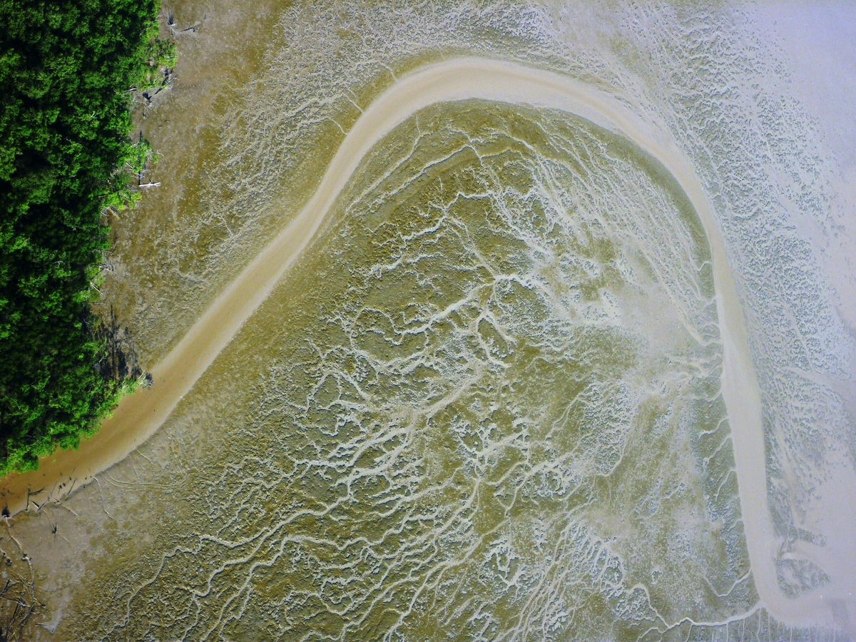 Estuaire De La Crique De Brémont En Guyane Française