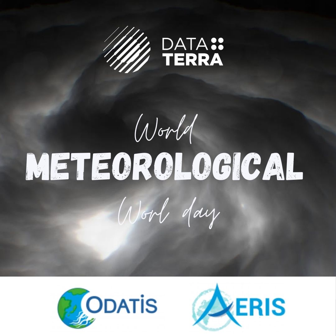 Meteorological Day